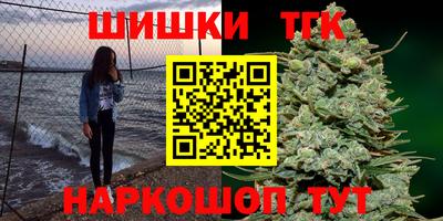 гашик Дубна
