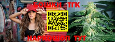 гашик Дубна