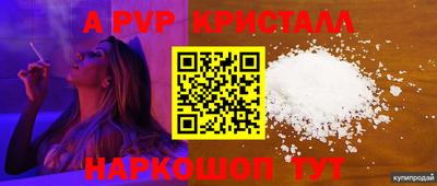 стафф Донской