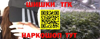 стафф Донской