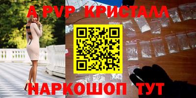 стафф Донской