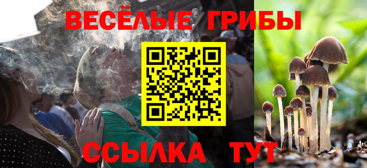 Псилоцибиновые грибы Psilocybe  Вход с VPN  Бутурлиновка  что такое наркотик  Псилоцибиновые грибы прущие грибы 