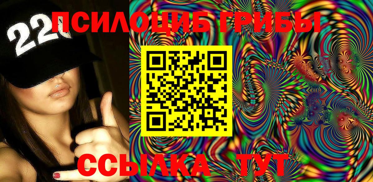 Псилоцибиновые грибы Psilocybe Бутурлиновка
